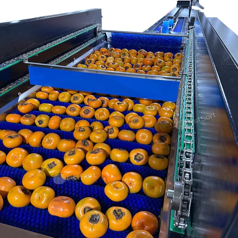 images/1767924823857Zhengzhou-First-Industry-Co-Ltd- (1).jpg